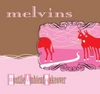 Melvins-hat.jpg