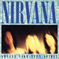 Thumbnail for version as of 20:18, 22 October 2007